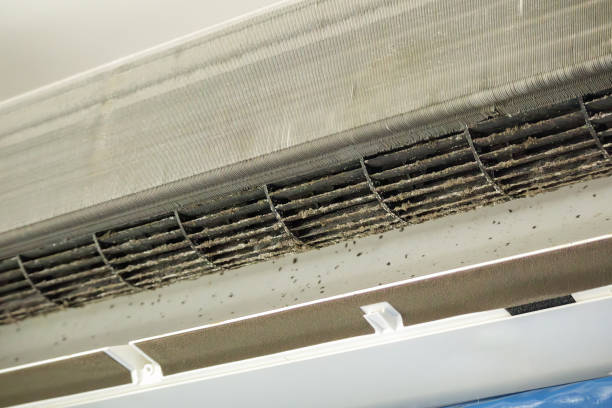 Best Air Duct Cleaning Company Near Me  in Pinehurst, ID